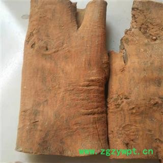 安祁名药正品油桂 紫油桂 精选去皮紫油桂图3