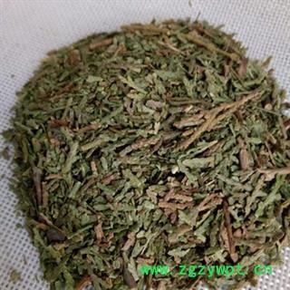 安祁名药优质侧柏 正品新货图2