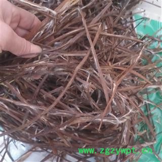 安祁名药正品梓白皮 梓实 原生态新货图2