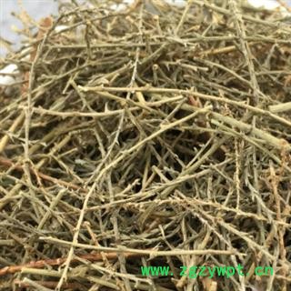 安祁名药西河柳  红柳 垂丝柳图2