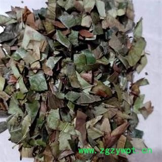 安祁名药中药材丁香叶 毛野丁香叶图2