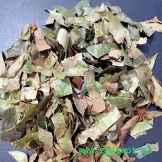 安祁名药中药材丁香叶 毛野丁香叶图3