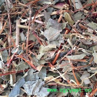 诺源药材行中药材忍冬藤 大薜荔 水杨藤 千金藤图2