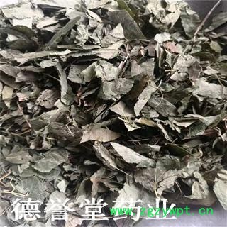 淫羊藿 东北淫羊藿  产地 黑龙江省 德誉堂批发各种中药材图3