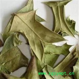 德誉堂药业 功劳叶 选 批发中药材 花茶 产地 山西省晋城市陵川县图2