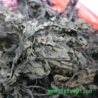 肺心草 统 产地 四川省成都市双流县图4