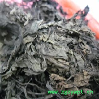 肺心草 统 产地 四川省成都市双流县图3