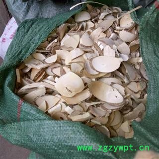 安祁名药正品黄花倒水莲 黄花参 观音串  优质阳枝 另有阴枝图2