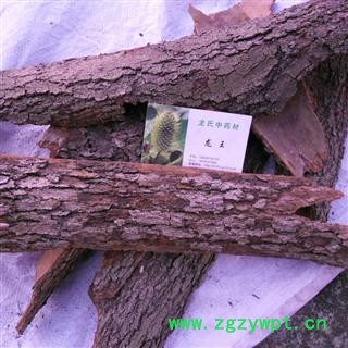 香樟皮 精品 产地 四川省成都市双流县图3