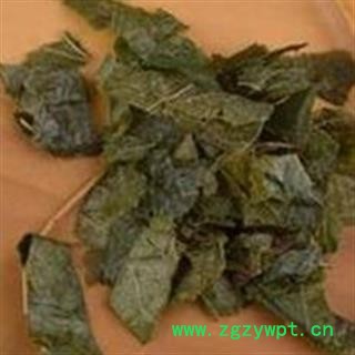 淫羊藿 制淫羊藿 新鲜羊油 没有异味 假一赔十 产地 四川省图2