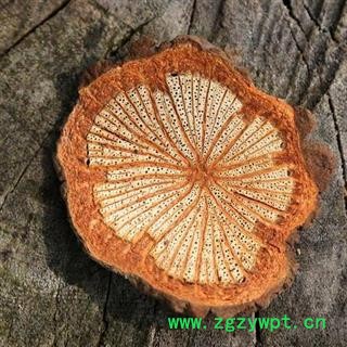 【买10送1】红藤片 秦岭产 山民自砍自切片 日晒无硫500g【打折已结束】图3