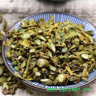 秦岭野生寄生桑寄生桑上寄生槲寄生槲木日晒无硫1000g图2