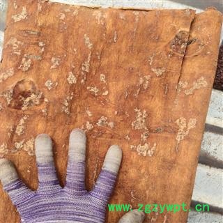 肉桂  去皮肉厚2厘米  纯干紫油桂  产地 广西壮族自治区南宁市图2