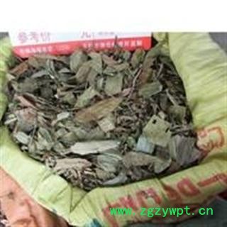 中药材 葫芦茶/螳螂草/咸鱼草/三脚虎/龙舌广/葫芦叶 小丽百草行 葫芦茶图2