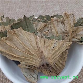 小丽百草行荷叶蒂  莲蒂 荷鼻 荷蒂图2