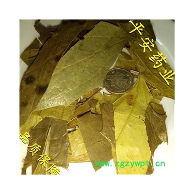 平安药业 十大功劳叶 功劳叶 正品 促销