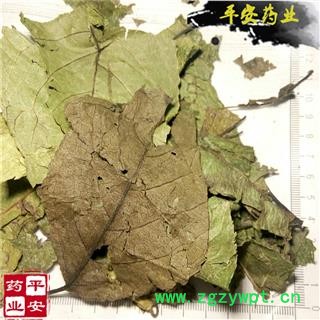 平安药业 杜仲叶 天然晒干 正品 思仙叶 木绵叶 思仲叶图2