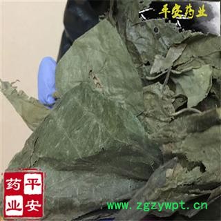平安药业 布渣叶 正品 别称 麻布叶 破布叶 蓑衣子图2