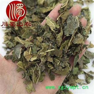 干桑叶无硫统货散装1公斤起批产地直供桑树叶川蜀山农中药材批发图2