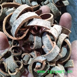 厚朴 厚朴统丝新货干度好0.8-1.0 产地 四川省图2