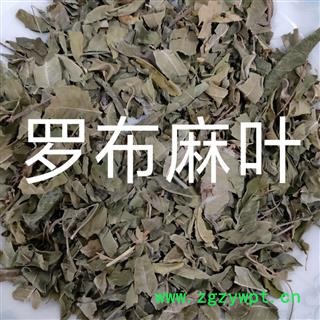罗布麻叶 小罗布麻叶统货 产地 天津市图4