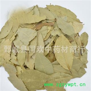 【香叶】@【同欢药材】中药材批发供应 规格齐全 量大从优  产地 广西壮族自治区图2