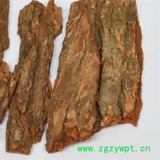 樟木 香樟皮  无污染图2