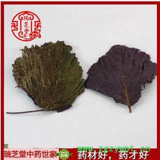 紫苏叶 统货  紫苏叶中药材批发 紫苏叶 瑞芝堂产地直销1000克图3