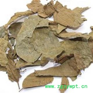 布渣叶选货 质量好 价格低 产地直销  产地 广东省图2