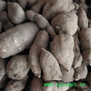 三叶青 三叶青统货 产地 云南省图2