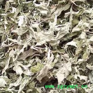 新货小艾叶 质量好 价格低 产地直销 规格齐全   产地 山东省图2