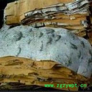 诺源药材行中药材正品桦树皮 白桦 桦木皮图3