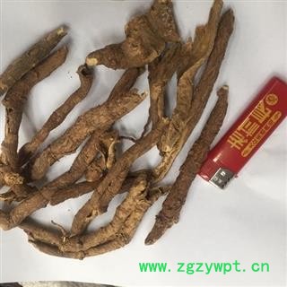 诺源药材行优质香五加  北五加皮 羊奶藤图2