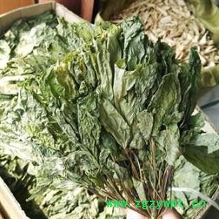 安祁名药正品人参叶 以及人参花 优质新货无硫图2