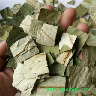 安祁名药荷叶 荷叶小方块   优质茶用级图2