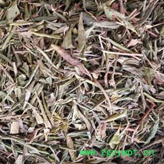 安祁名药 优质映山红  满山红图2