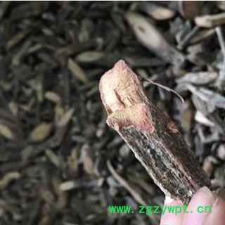 诺源药材行中药材四方藤   四方藤 翼枝白粉藤图2