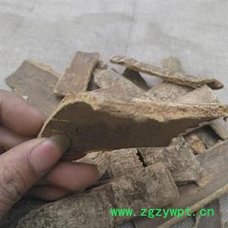 安祁名药正品喜树皮图2