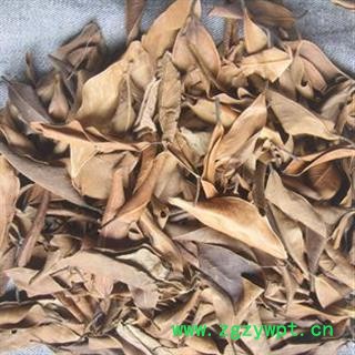 安祁名药中药材榕树叶  榕树须 榕树根图2