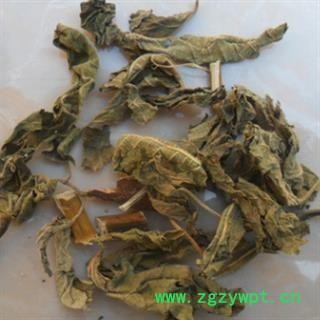 安祁名药无花果叶  优质无硫图2