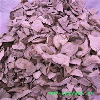 海桐皮树片 统货 产地 四川省成都市双流县图4