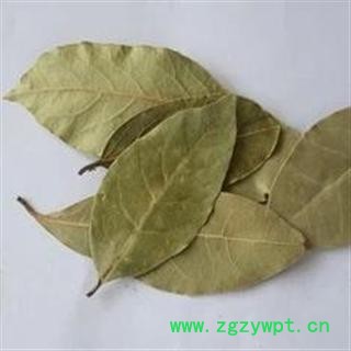 德誉堂药业 香叶 统 批发中药材 花茶 矿石 产地 广西省图3