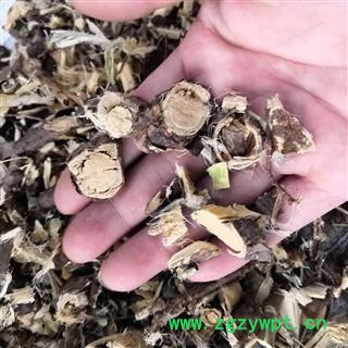 安祁名药正品中药材金雀根 锦鸡儿图2