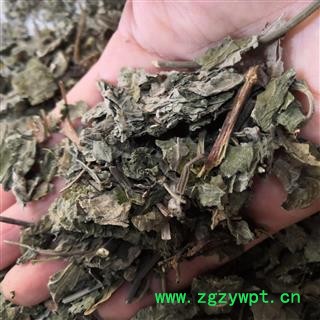 安祁名药楮叶  楮桃叶 新货颜色绿图3