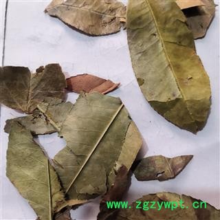 安祁名药中药材石楠藤  爬岩香 巴岩香 石楠藤叶图2