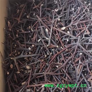 安祁名药中药材皂刺图2