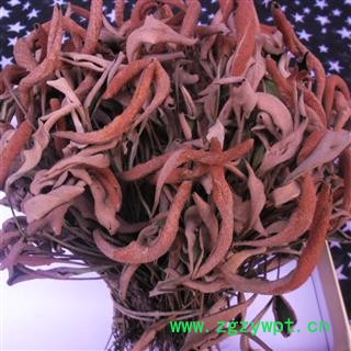 石苇 统货 产地 四川省广元市青川县图4