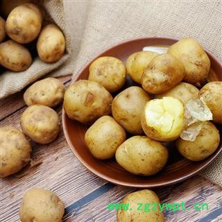 【1份5斤】秦岭农家土豆 自种自销 老品种 非转基因  富硒 可留种图2