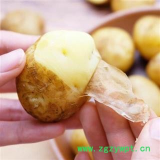 【1份5斤】秦岭农家土豆 自种自销 老品种 非转基因  富硒 可留种图3
