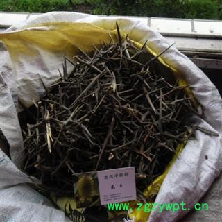 皂角刺 统货 产地 四川省成都市双流县图2